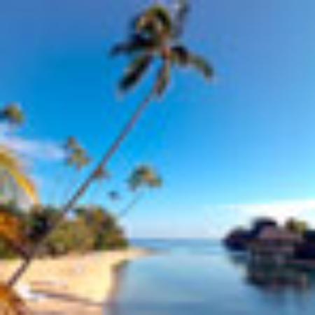 Albion Street Chippy